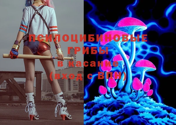 a pvp Арсеньев